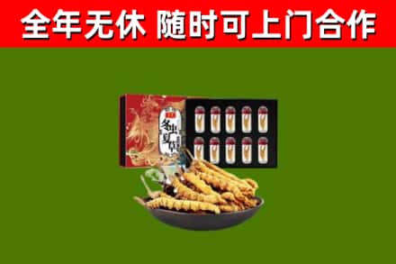 拜城烟酒回收冬虫夏草礼盒.jpg