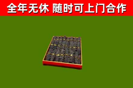拜城烟酒回收海参.jpg